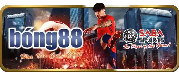 Khuyến mãi chào mừng đá gà